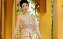 含羞草影院免费区